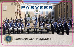 Cultuursteun pas gift