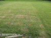 GRD - 001 - 1e veldtraining